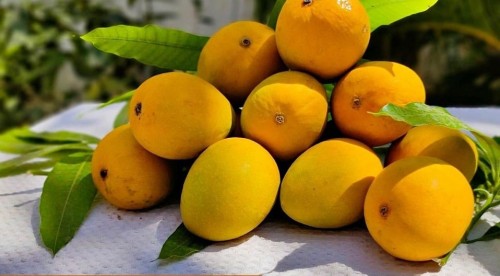 How to Find Mango Buyers and Sell Successfully