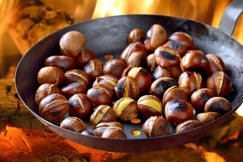 Where to Source Bulk Chestnuts at Wholesale Rates