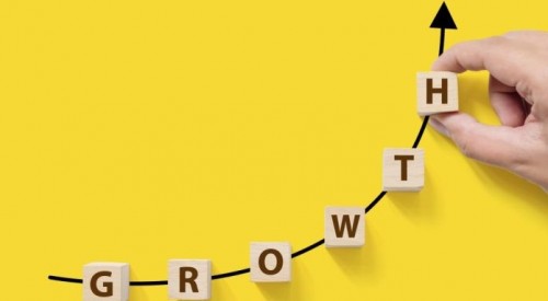 Business growth strategy for small business