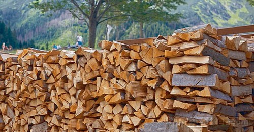 How to Find Sawn Timber Buyer Online