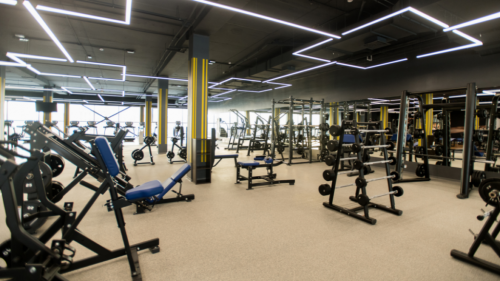 Commercial Fitness Equipment Market Size, Trends, And Distribution Channels