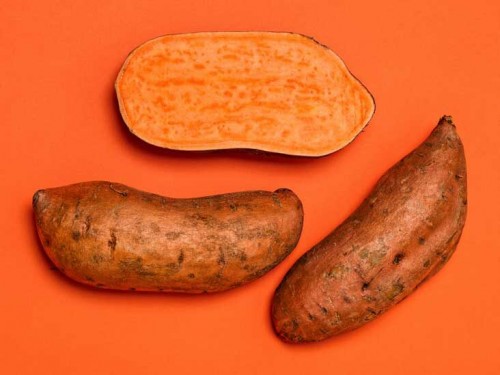 Where to buy sweet potatoes in bulk at Wholesale Rates