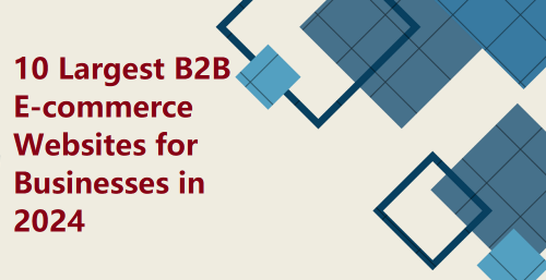 10 Largest B2B E-commerce Websites for Businesses in 2025