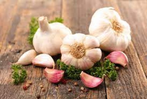 10 Biggest Garlic Suppliers and Exporters in 2024