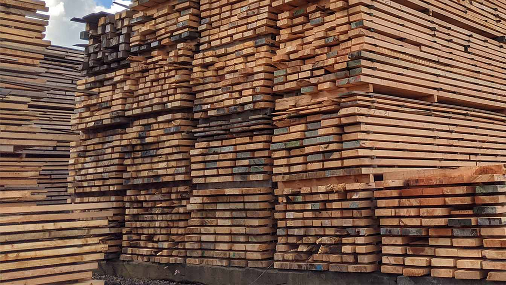 China's log & lumber import markets may be worse than you think - Global  Wood Markets Info