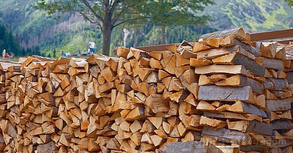 How to Find Sawn Timber Buyer Online